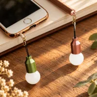 Pen with light bulb