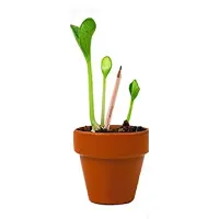 Groeipotlood met bedankkaart